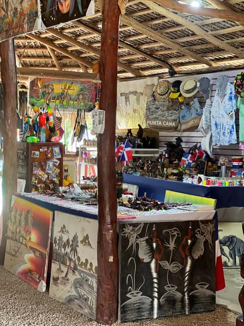 Punta Cana: Wild Off-Road Dune Buggy Adventure - Key highlights worth your attention