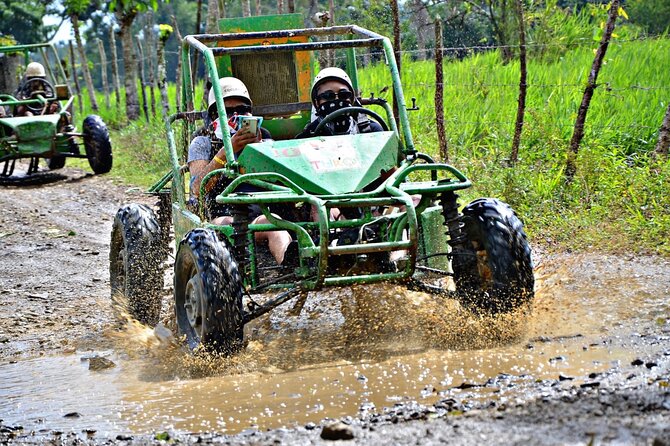 Punta Cana Zip Line, horse riding & Buggy - Key highlights at a glance