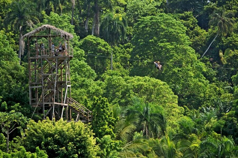 Punta Cana: Zip-Lining 12 Cables - The Anamuya River Moment: The One You’ll Remember