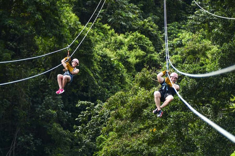 Punta Cana: Ziplines Adventures & Monkeyland Entry - The Zipline Course: Platforms, Speed, and Side-by-Side Fun