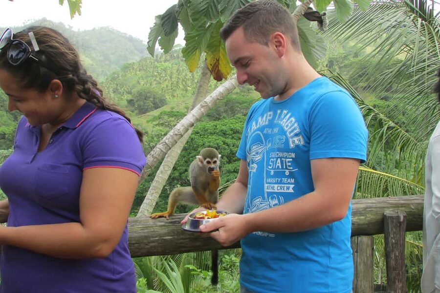 Punta Cana: Ziplines Adventures & Monkeyland Entry - Getting There From Punta Cana: Pickup, Transit, and What to Pack