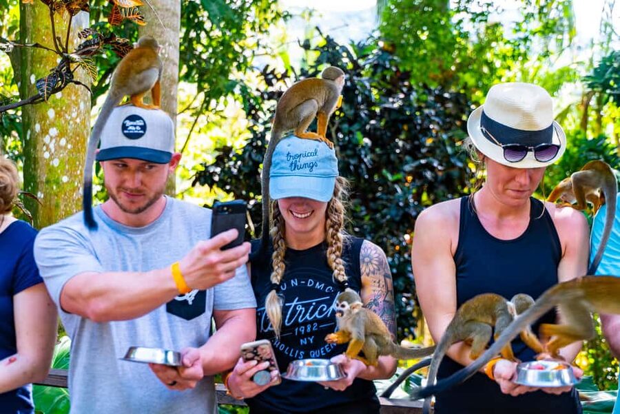 Punta Cana: Ziplines Adventures & Monkeyland Entry - Safety Briefing and Gear Reality Check