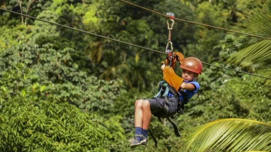 Rainforest Ziplining Adventure - Price and Timing: Is $80 Worth 4 Hours?