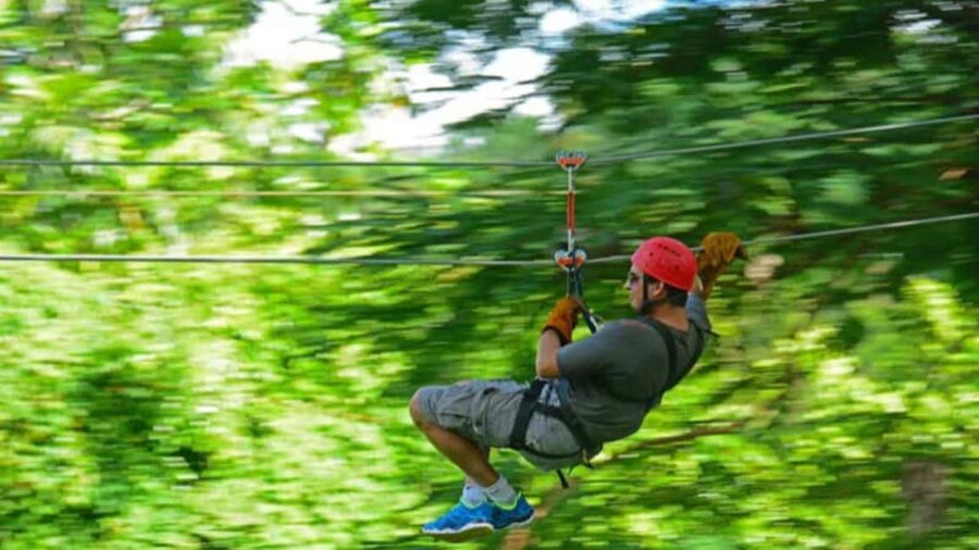 Rainforest Ziplining Adventure - Who This Punta Cana Zipline Works Best For