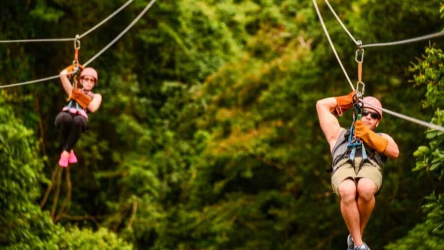 Rainforest Ziplining Adventure - Tour Value Beyond the Zip: Guides, Driver, and Real Local Flavor