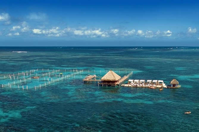 Reef Explorer Half Day Trip - Bávaro Beach and the reef: the core of the experience