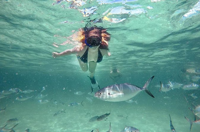 Reef Explorer Half Day Trip - Price and logistics: does $149 feel fair for 3.5 hours?