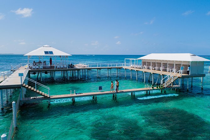 Reef Explorer Multiple activity Excursion from Punta Cana by Marinarium - Key things I’d circle on this Reef Explorer day