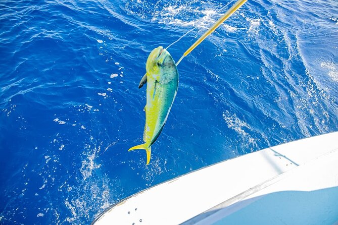 Reel Adventures: A Fin-tastic Fishing Tour - The real “itinerary”: briefing, line setup, offshore fishing, and returning