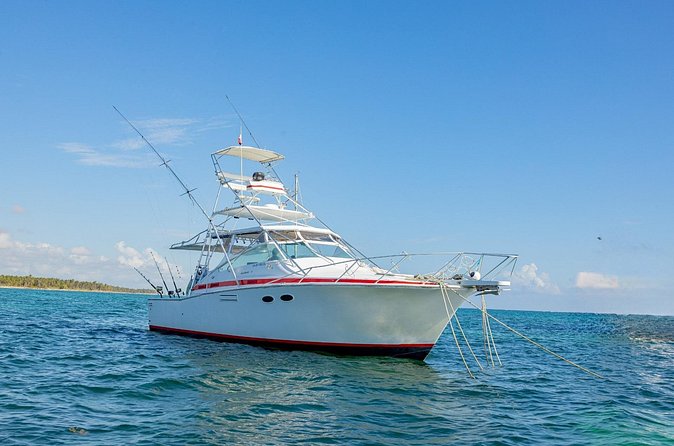 Reel Adventures: A Fin-tastic Fishing Tour - Group size up to 9: why this feels personal on a boat