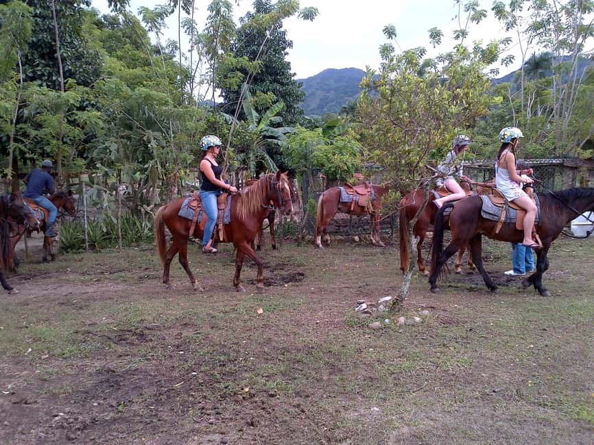 Ride N Zip Adventure in Puerto Plata - 8 ACCT-certified zip lines: what the course feels like