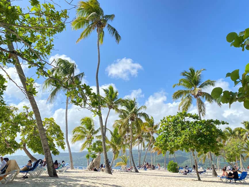 Rincon Beach and Cayo Levantado from Punta Cana - A Samana day trip built around three water stops