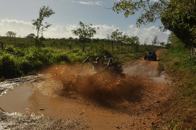 Rivers, Jungle with Buggies Adventure in Bayahibe - Guide and group vibe: smoother with small numbers