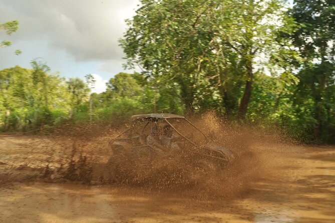 Rivers, Jungle with Buggies Adventure in Bayahibe - The “should I book it?” decision
