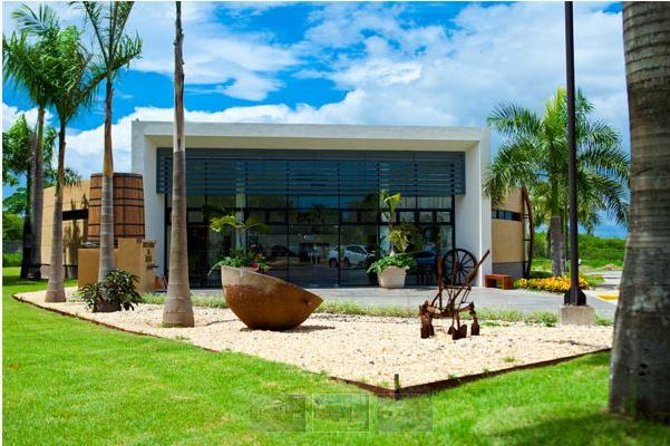 Ron Barcelo Anejo Experience Factory Tour - Key things to know before you go