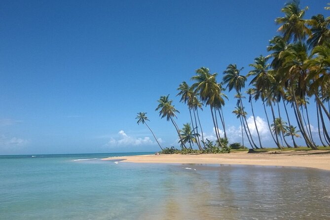 Round Mountain + Beach + Horse + Lunch - Who This Trip Fits Best (and Who Might Want Another Option)