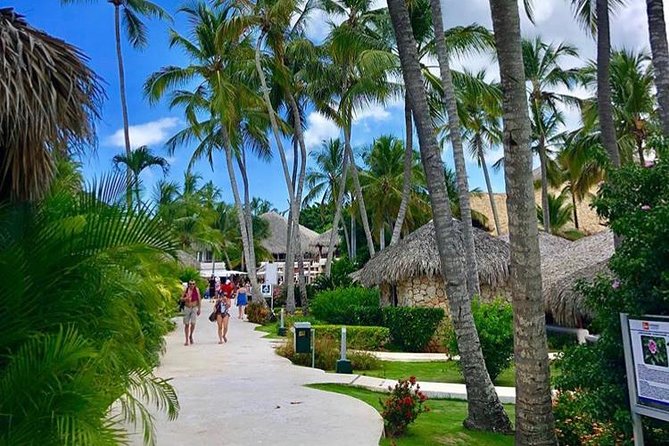 Round Trip Punta Cana Airport Shuttle - Included vs not included: what you’ll plan around
