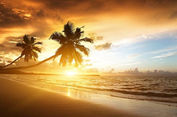Royalton Bavaro- Round Trip Shuttle - Punta Cana Airport - Timing flexibility matters more than you think