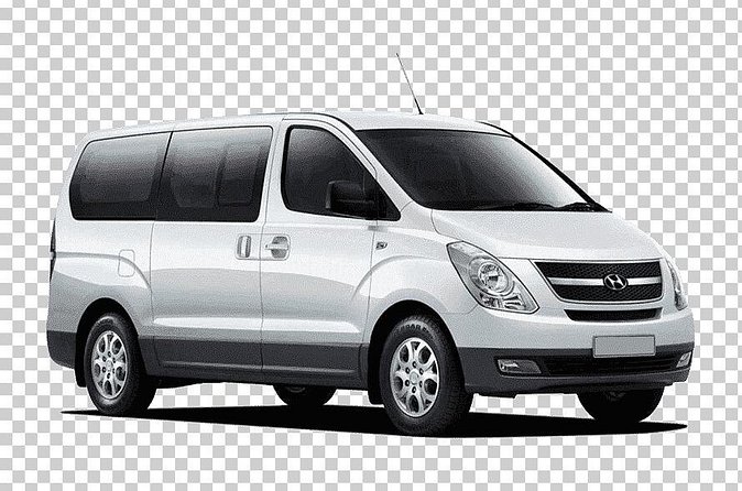 Royalton Bavaro- Round Trip Shuttle - Punta Cana Airport - Accessibility and service animals: clear, practical notes