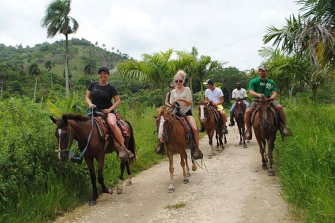 Safari Adventure - Full Day - From Punta Cana - Dominican buffet lunch with included non-alcoholic drinks