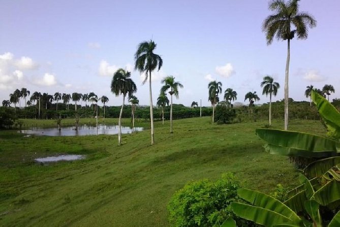 Safari Adventure - Full Day - From Punta Cana - Anamuya River + Macao beach: the relaxing finish