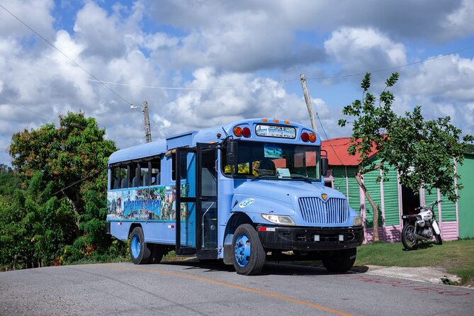 Safari and Higuey Church from Punta Cana - Plantation stops that actually teach you something