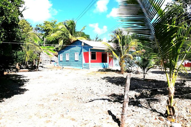 Safari discovery to Boca De Yuma – Nature, Discovery And History Of A Population - Key highlights at a glance