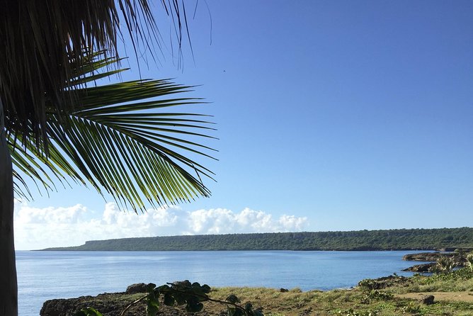 Safari discovery to Boca De Yuma – Nature, Discovery And History Of A Population - The guide experience: English-led clarity, trilingual support