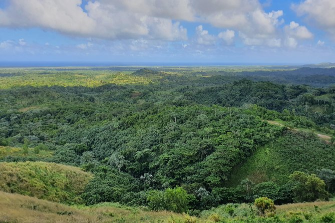 Safari Full Day VIP Experience - Cigar Rolling, Coffee, and Cocoa Harvesting: the Practical Cultural Bonus