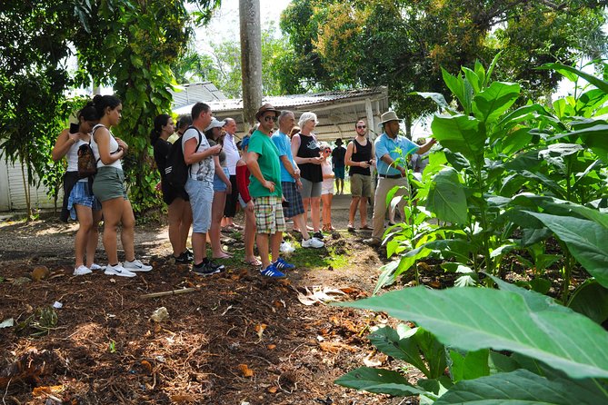 Safari Supreme Full Day Outdoor Adventure Punta Cana - Alcohol, Drinks, and the Safari Truck Social Atmosphere