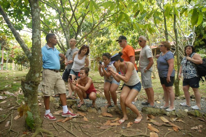 Safari Tour from Punta Cana - A Punta Cana Safari Day That Mixes Beach, Ranch, and Higuey