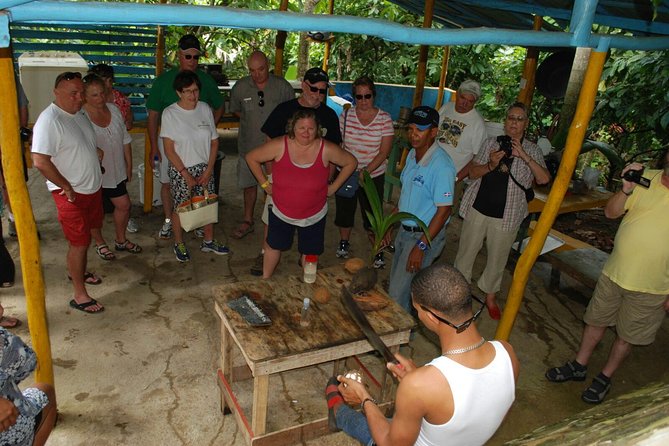 Safari Tour from Punta Cana - Macao Beach: Time for Surf Attempts or a Long Swim