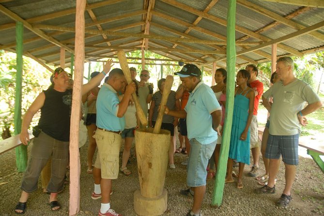 Safari Tour from Punta Cana - Getting There From Punta Cana: Pickup, Group Trucks, and the 7:30 AM Start