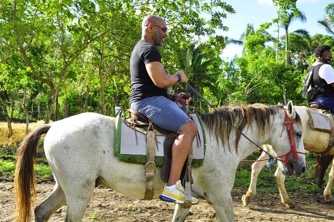 Safari Tour in Punta Cana todo el dia una Aventura inolvidable - Higuey Public Market: Where You’ll Taste Everyday Dominican Life