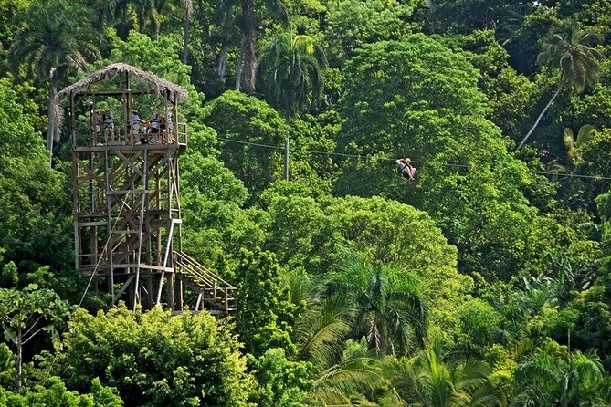 Safari Tour in Punta Cana todo el dia una Aventura inolvidable - Price and Value: Is $110 Worth a 7–8 Hour Day?