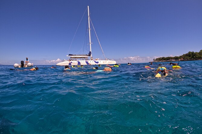 Sailing Catamaran Excursion - Quick hits before you go