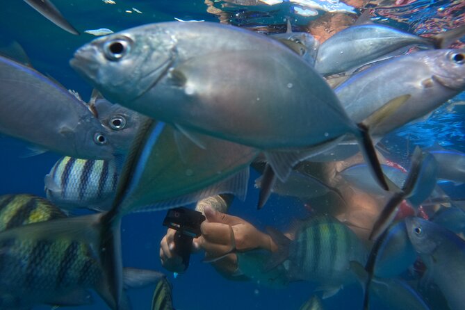 Sailing Catamaran Excursion - Sailing toward Ocean World and reaching the Puerto Plata side