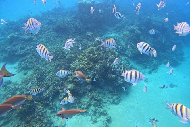 Sailing Catamaran Excursion - Should you book this Sosua-to-Puerto Plata catamaran?