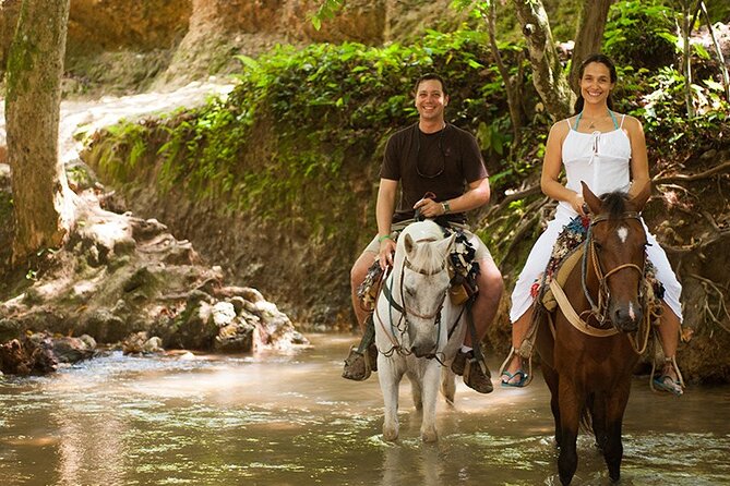 Samana: Bacardi Island and El Limon Waterfall - Who this tour suits best (and who should rethink it)