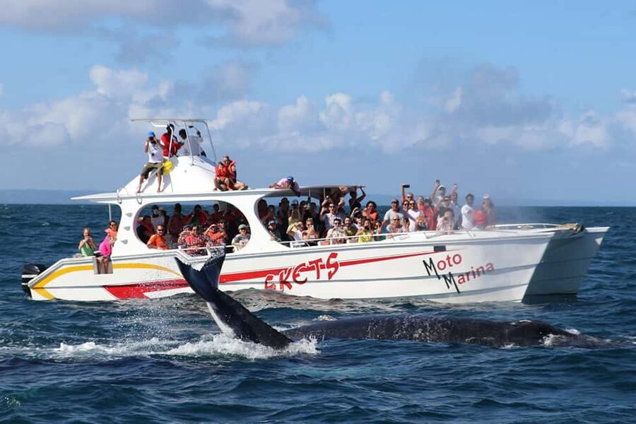 Samana: Bay of Samana Whale Watching Experience - Meeting Moto Marina and Getting Your Day Started Right
