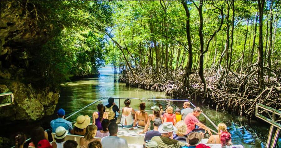 Samaná: City Tour + Los Haitises & Cayo Levantado Island - Los Haitises National Park: rock islands, mangroves, and the Taíno connection