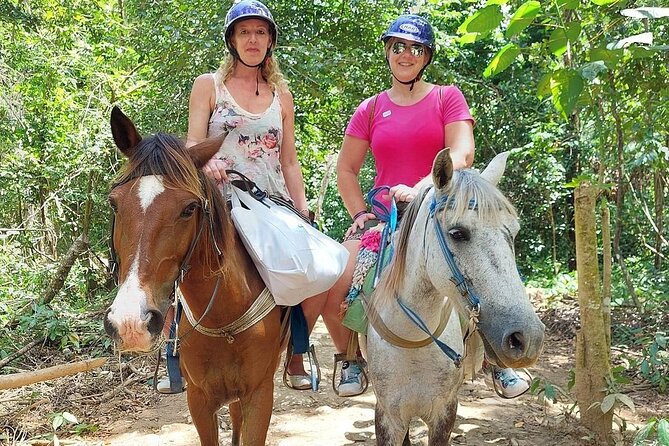Samaná El Limón Waterfall and Isla Cayo Levantado from Punta Cana - Tips, timing, and comfort hacks that actually help