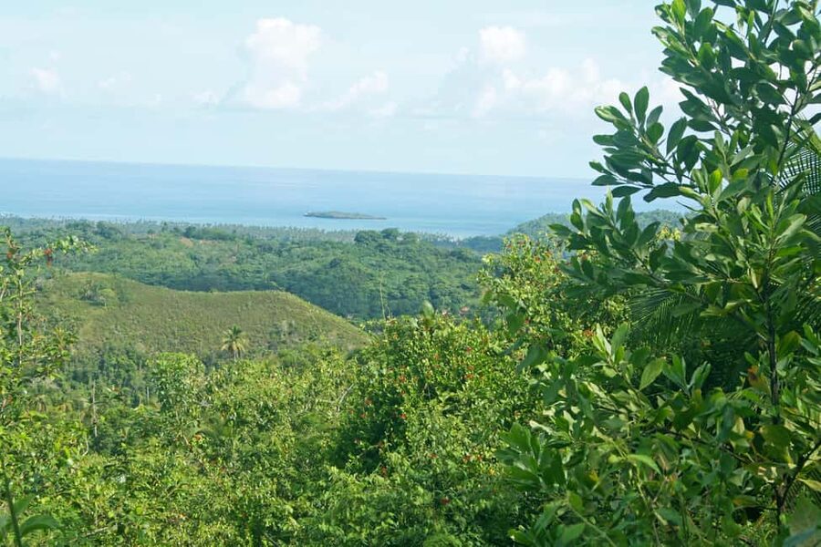 Samaná: El Limón Waterfall Horseback Riding Tour - The waterfall moment: 197-foot drop, spray in your face, and photo stops