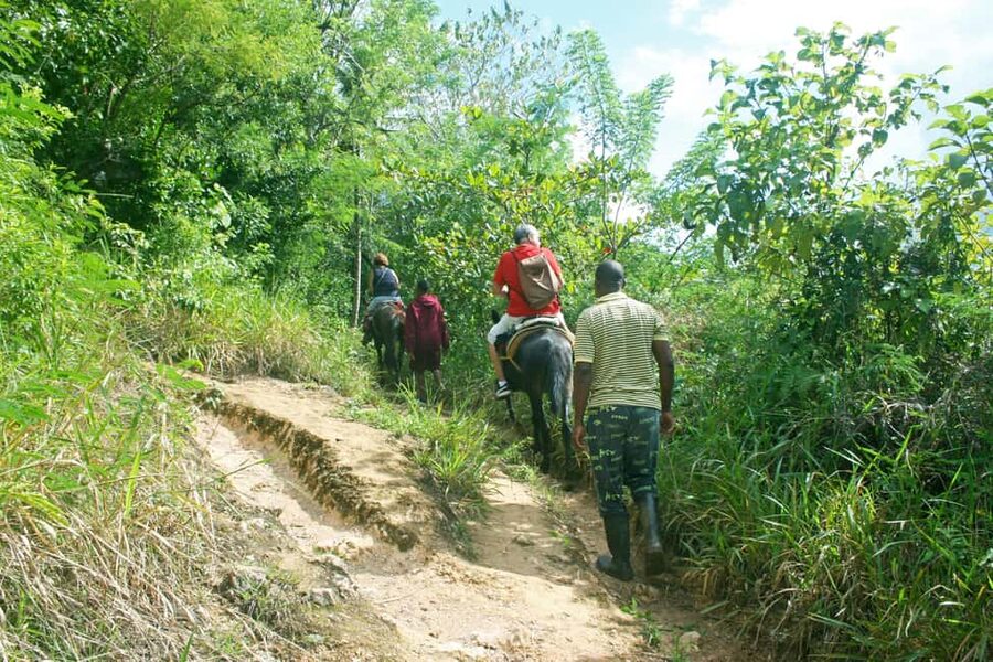 Samaná: El Limón Waterfall Horseback Riding Tour - Price and value: is $60 worth it?