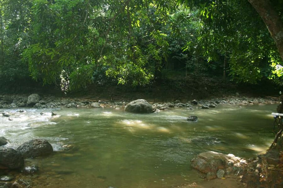 Samaná: El Limón Waterfall Horseback Riding Tour - What to pack: the small items that save the day