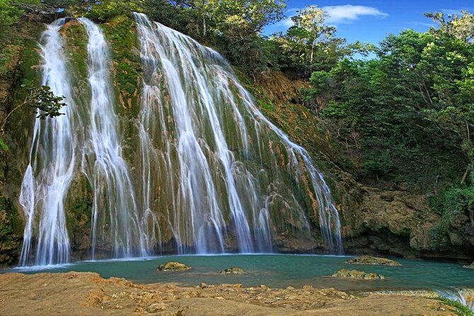 Samaná Experience Whale – The Lemon Waterfall & Bacardi Island - From Punta Cana Area to Samaná: the Morning Grind That Comes With the Magic