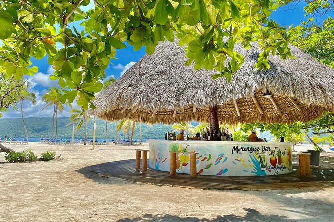 Samana from Punta Cana - Full Day - Santa Barbara de Samaná: a quick city look from a safari truck