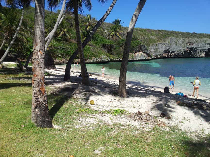 Samana: Fronton & Madame Beach tour Las Galeras - Morning start at Playa Grande: timing and what to pack
