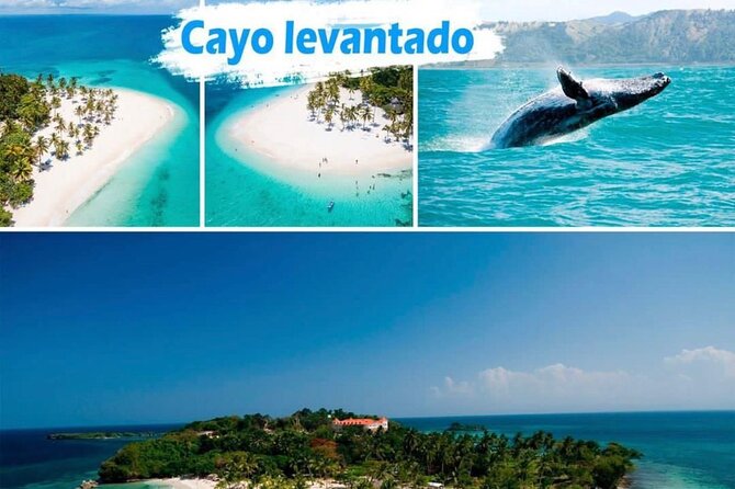 Samana Full Day -baracardi island, horses, lemon waterfall - Key things to know before you go
