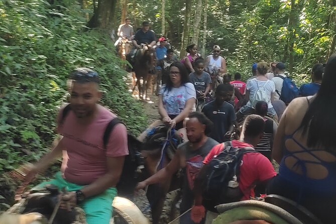 Samana Full Day Waterfall, Safari and Beach - Beach time and downtime: why it’s built into the day
